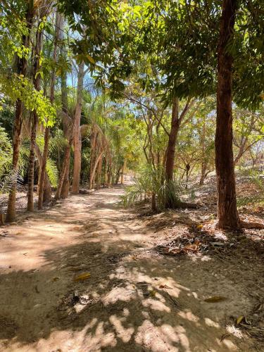 a dirt road through a forest with trees at Rancho Goiano in Minaçu