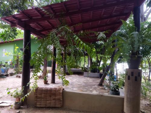 a pergola with a bunch of potted plants at Rancho Goiano in Minaçu