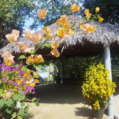 an umbrella with flowers in front of a yard at Rancho Goiano in Minaçu
