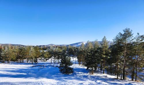 アパートメントの近くで見られる自然の景観