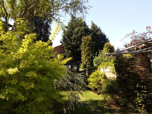 einen Garten mit Bäumen und Sträuchern und ein Haus in der Unterkunft Joseph(ine) in Antwerpen