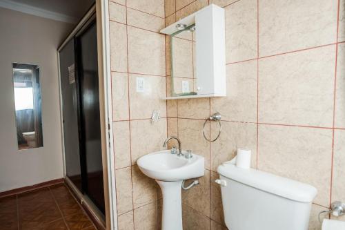 bagno con lavandino, servizi igienici e specchio di Hotel Alojamiento Raque-Lito a Patquía