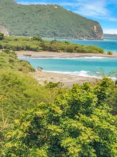 a view of a beach from a hill with trees at SGR Near The Sea in Bull Bay