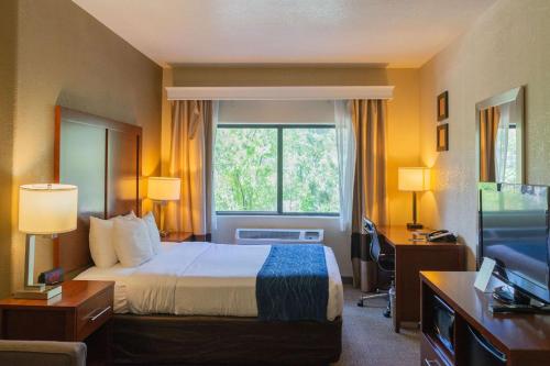 une chambre d'hôtel avec un lit et une fenêtre dans l'établissement Comfort Inn North - Air Force Academy Area, à Colorado Springs