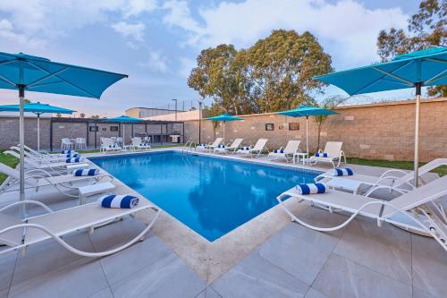 a swimming pool with chairs and umbrellas at City Express by Marriott Tampico Altamira in Tampico