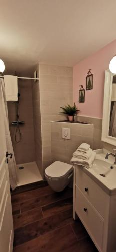 une salle de bain avec toilettes, lavabo et douche dans l'établissement À mi-chemin, à Marcillac-Vallon