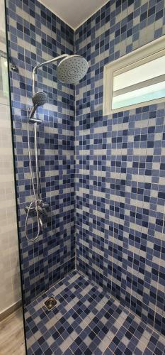 a blue tiled bathroom with a shower with a glass door at Âpara Feti'a - Mirimiri Lodge in Tevaitoa