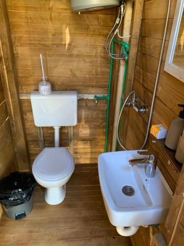 a bathroom with a toilet and a sink at Cozy Treehouse with private sand beach in Blagaj