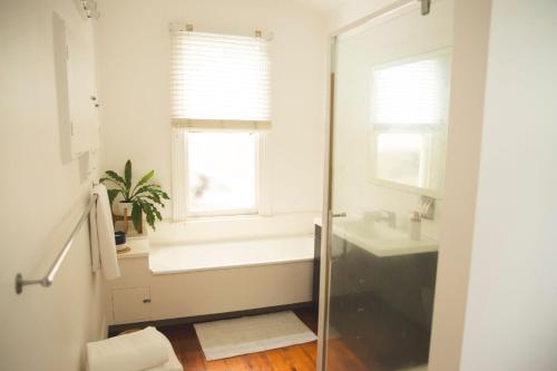 baño con ducha, lavabo y ventana en Hilltop on Milton en Napier