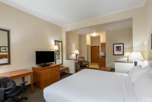a hotel room with a bed and a television at Holiday Inn Express Hotel Vernal by IHG in Vernal
