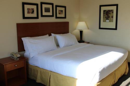 a large bed in a hotel room with a phone at Holiday Inn Express Hotel Vernal by IHG in Vernal