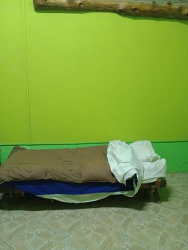 Cama en habitación con pared verde en Camas para descansar en el centro en San Carlos de Bariloche