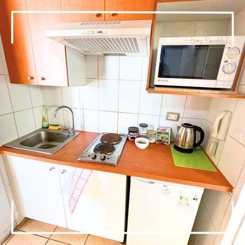 eine kleine Küche mit einer Spüle und einer Mikrowelle in der Unterkunft Dpto en el centro de la ciudad in Santiago
