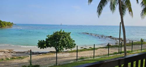 a view of a beach with a fence and palm trees at Bas du Fort - Magnifique vue mer - Pieds dans l'eau - Citerne d'eau - Bord de plage in Le Gosier