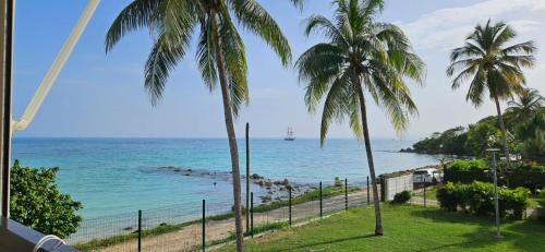 Elle offre une vue sur l'océan et les palmiers. dans l'établissement Studio magnifique vue mer - Pieds dans l'eau - Bord de plage - Citerne d'eau, au Gosier