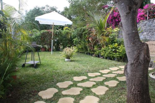 a garden with a tree and a rock pathway at Casanou in Saint-Paul