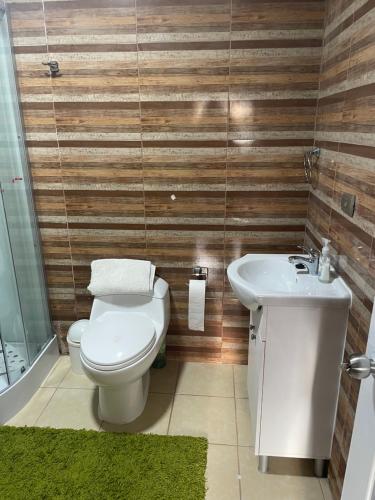 a bathroom with a toilet and a sink at Casa Sra Oti, Tipo Hostal con vista al mar Puerto Montt - CHINQUIHUE in Puerto Montt