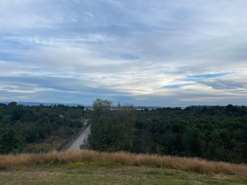 a road in the middle of a field with trees at Casa Sra Oti, Tipo Hostal con vista al mar Puerto Montt - CHINQUIHUE in Puerto Montt