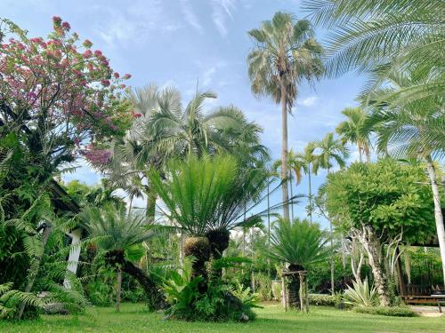 a group of palm trees in a park at Baan Pinya Balinese Style Pool Villa in Krabi town