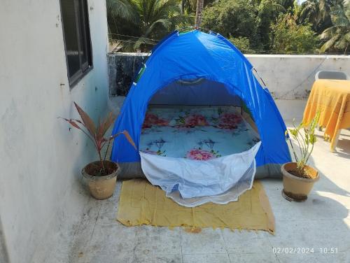 une tente bleue avec des fleurs et deux plantes en pot dans l'établissement Hotel Grand Murud janjira, à Murud