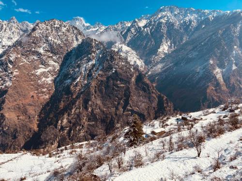 Faraway Cottages, Auli kapag winter