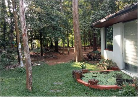 Κήπος έξω από το PETERCOTTAGE HOMESTAY