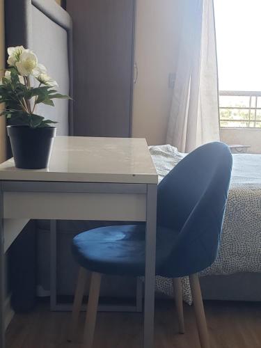 聖地亞哥的住宿－Suit vista despejada，一张带蓝色椅子和盆栽的桌子