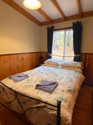 Bett in einem Zimmer mit Fenster in der Unterkunft Balingup TimberTop Cottages in Balingup