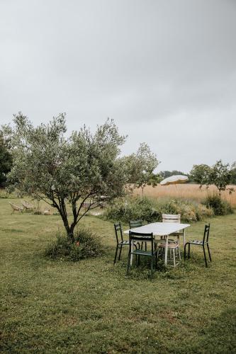 Maison d'hôtes Bel Estiu – Photos 3