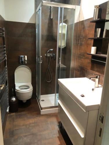 une salle de bain avec une douche, des toilettes et un lavabo dans l'établissement Coeur Vieil Antibes Plages à Pied, à Antibes