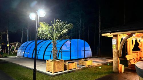 a palm tree on a stage with a blue dome at Ośrodek u Polaka-domek góralski in Radkowice
