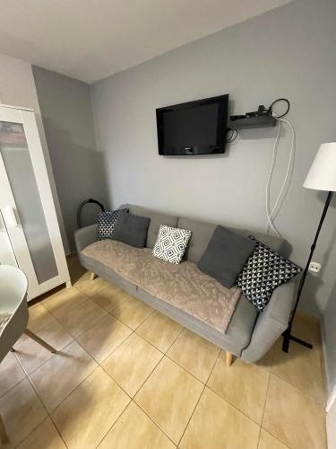 TV a/nebo společenská místnost v ubytování Chill apartman