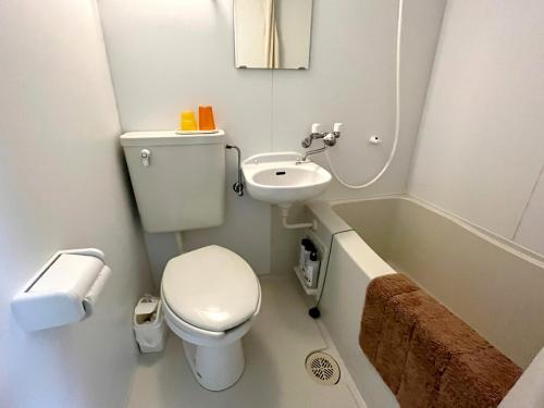 a small bathroom with a toilet and a sink at セミナープラザ　ロイヤルフジ in Azagawa