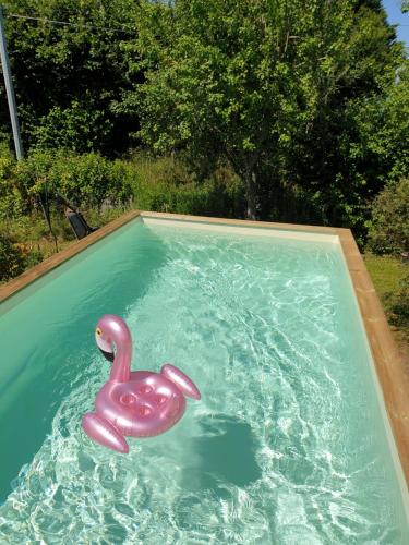 un cygne en plastique rose dans une piscine dans l'établissement Le gîte LE MIEL du Périgord vert, à Dussac