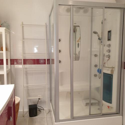 une douche avec une porte vitrée dans une salle de bain dans l'établissement Le gîte LE MIEL du Périgord vert, à Dussac