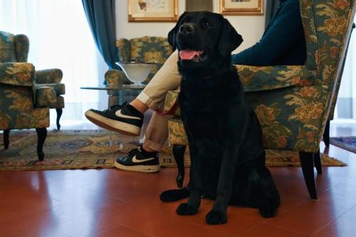 a black dog sitting next to a person sitting on a chair at Rivoli Boutique Hotel in Florence