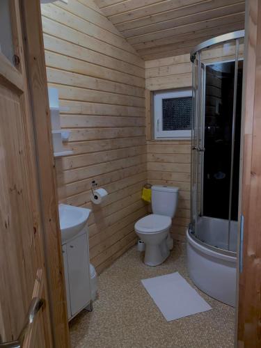 a wooden bathroom with a toilet and a sink at Sielankowo Trzęsacz in Trzęsacz