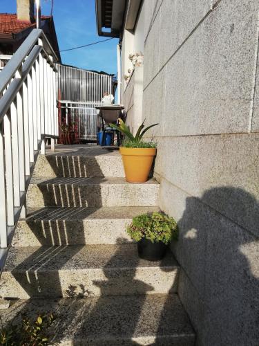 a set of stairs with plants on the side of a building at Casa Arcade in Sotomayor