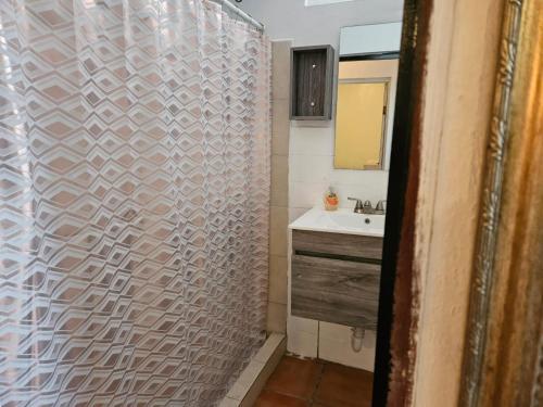 y baño con cortina de ducha y lavamanos. en Newly remodeled Economical 5BR, Third floor, en Mayagüez