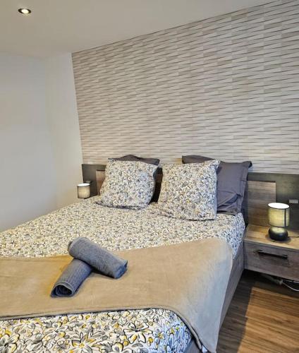 ein Schlafzimmer mit einem Bett mit Kissen in der Unterkunft appartement cosy à seloncourt in Seloncourt