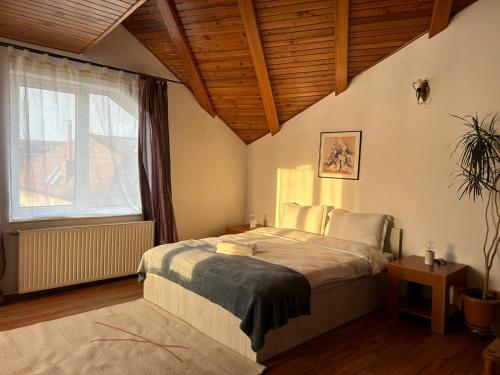 a bedroom with a large bed and a window at Ambra Room's in Braşov