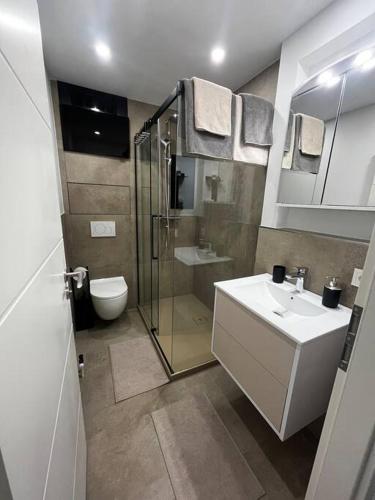 a bathroom with a shower and a sink and a toilet at Charmante Penthouse - Therme Badewelt - Museum in Sinsheim Hoffenheim in Sinsheim