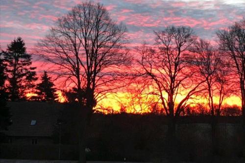 a sunset with trees in front of a building at Ferienwohnung Lindenallee in Neu Poserin