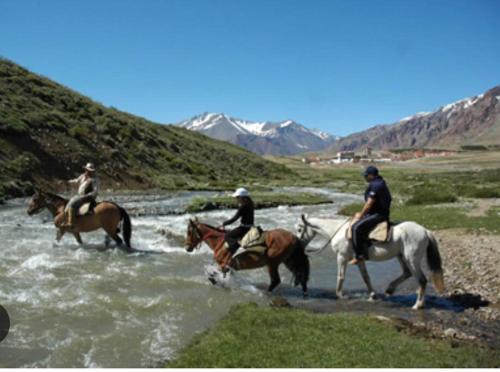 Horseback riding sa apartment o sa malapit