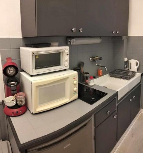 une cuisine avec un four micro-ondes au-dessus d'un comptoir dans l'établissement Le Nid Douillet Baroque Linge fourni, à La Bourboule