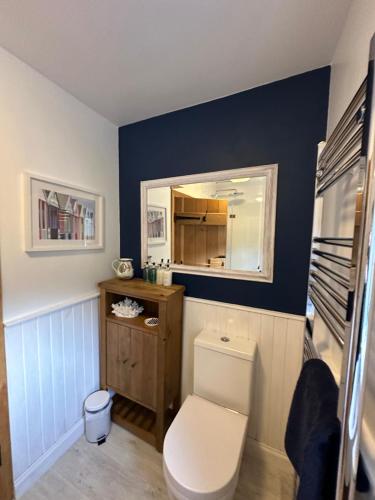 a bathroom with a white toilet and a mirror at Coastal Cottage - Cellardyke Anstruther in Anstruther