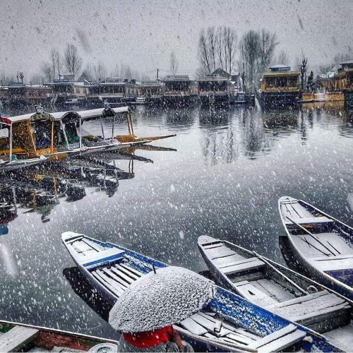 un groupe de bateaux amarrés dans l'eau dans la neige dans l'établissement Zebervan Hill Side Retreat, à Srinagar
