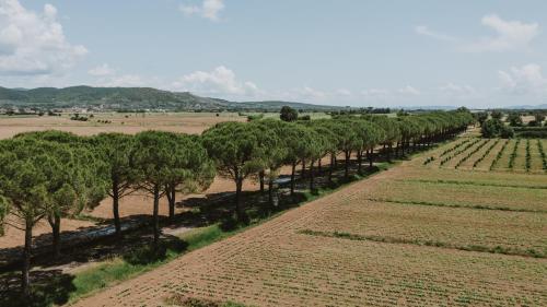 Paesaggio naturale nelle vicinanze dell'agriturismo
