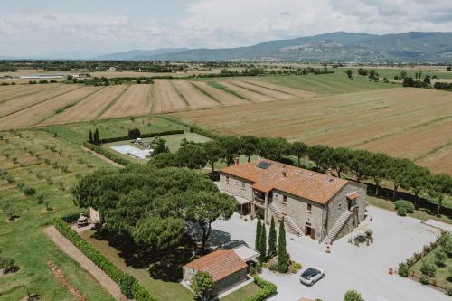 widok z góry na dom z polem w obiekcie Terra di Cortona w mieście Cortona