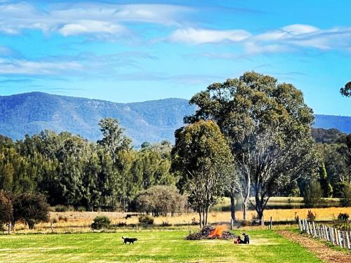 a group of people in a field with a dog at Copper Creek Retreat - sleep next door to the Lions in Lovedale